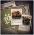 Aircraft and Aces Ork Air Waaagh! Cards