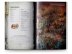 Dawnbringers: Book II – Reign of the Brute (предзаказ 2023, Age of Sigmar)