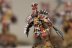 Warhammer Age of Sigmar Khorne Blood Warriors x5 (Painted)