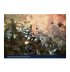 Codex: T’au Empire