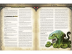 Pathfinder. Серия приключений &quot;Расколотая звезда&quot;, выпуск №2: &quot;Проклятие Светоча Госпожи&quot;