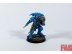 Warhammer 40k Space Marine Shadowspear Lieutenant in Phobos Armor (Pro-Painted)