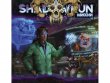 Shadowrun: Шестой мир. Миссия 09.02. "Что упало, то пропало"