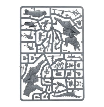 Stormcast Eternals Evocators on Celestial Dracolines