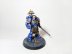Warhammer 40k Ultramarines Primaris Lieutenant Amulius Limited Edition (Pro-Painted)