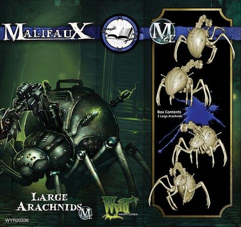 Large Arachnid