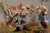 Warhammer Age of Sigmar Khorne Bloodreavers x10 (Painted)