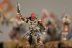 Warhammer Age of Sigmar Khorne Bloodreavers x10 (Painted)