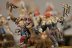Warhammer Age of Sigmar Khorne Bloodreavers x10 (Painted)