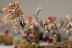 Warhammer Age of Sigmar Khorne Bloodreavers x10 (Painted)