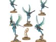 Swooping Hawks