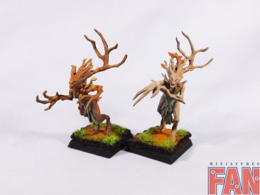 Warhammer Age Of Sigmar Sylvaneth Dryads x10 (Pro-Painted)
