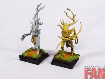 Warhammer Age Of Sigmar Sylvaneth Dryads x10 (Pro-Painted)