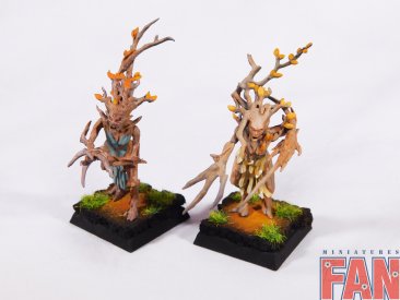 Warhammer Age Of Sigmar Sylvaneth Dryads x10 (Pro-Painted)
