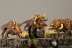 Warhammer Fantasy Battles Chaos Warhounds x5 (99120201009) (Painted)