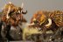 Warhammer Fantasy Battles Chaos Warhounds x5 (99120201009) (Painted)