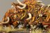 Warhammer Fantasy Battles Chaos Warhounds x5 (99120201009) (Painted)