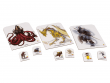 Pathfinder. Настольная ролевая игра. Расколотая звезда. Набор фишек