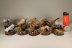 Warhammer 40k Space Wolves Fenrisian Wolf Pack x10 (Painted)