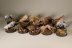 Warhammer 40k Space Wolves Fenrisian Wolf Pack x10 (Painted)