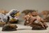 Warhammer 40k Space Wolves Fenrisian Wolf Pack x10 (Painted)