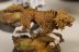 Warhammer 40k Space Wolves Fenrisian Wolf Pack x10 (Painted)