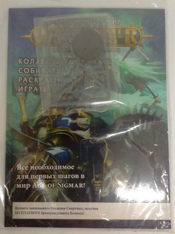 Getting Started with Warhammer Age of Sigmar (eng.)