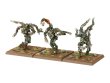 Tree Kin (предзаказ 2025, GW Direct)