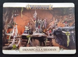 Dominion Kruleboyz Swampcalla Shaman with Pot-grot