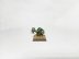 Warhammer Fantasy Age of Sigmar Orcs &amp; Goblins Doom Diver Catapult (Pro-Painted)
