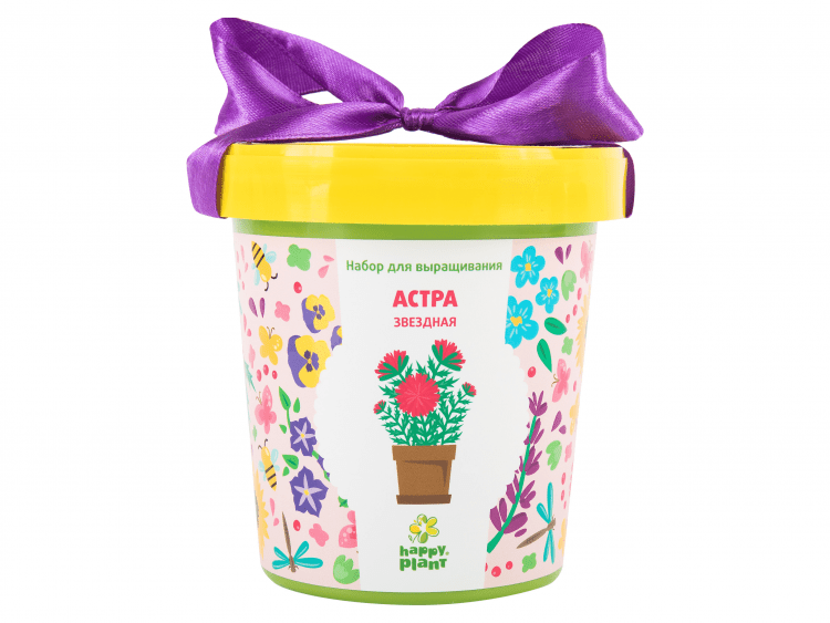Горшок Астра звездная
