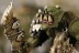 Warhammer Fantasy Battles Orc Boys x10 (Painted)