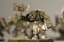 Warhammer Fantasy Battles Orc Boys x10 (Painted)
