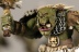 Warhammer Fantasy Battles Orc Boys x10 (Painted)