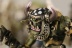 Warhammer Fantasy Battles Orc Boys x10 (Painted)