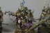 Warhammer 40k Death Guard Plague Marines x5 (Painted)