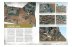Getting Started with Warhammer Age of Sigmar (рус.)