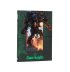 Codex: Chaos Knights (Collector’s Edition) (предзаказ 2025, GW Direct)