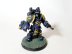 Warhammer 40k Space Marine Primaris Aggressors x3 (Pro-Painted)