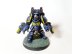 Warhammer 40k Space Marine Primaris Aggressors x3 (Pro-Painted)